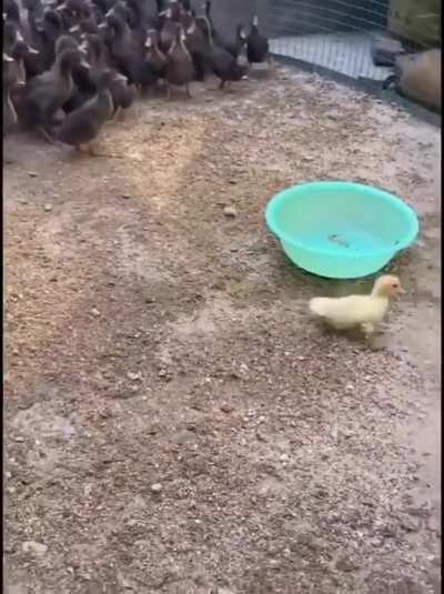me_on_this_sub