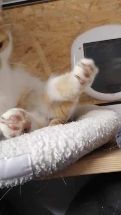 Daily stretch