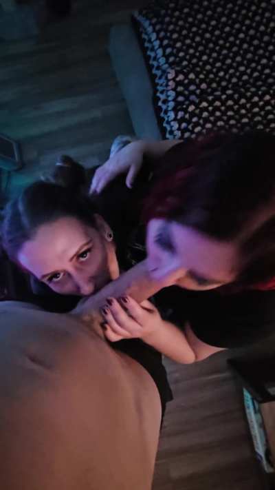 They love sucking cock together