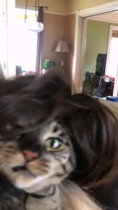 "What i say about touching my hair"