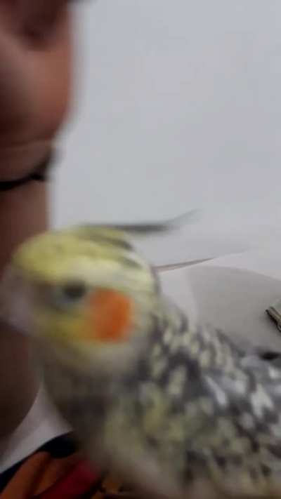 oh! didnt see you there