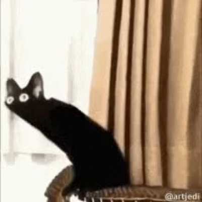 what were u doing when the site crashed