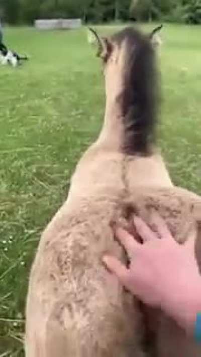 Back dat ass up. Get it , huh huh do ya get it. Ok I&rsquo;ll see myself out