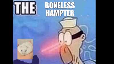 Boneless hampster