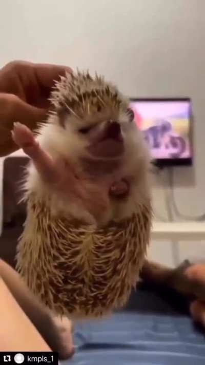 o/