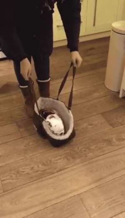 Pit in a bag