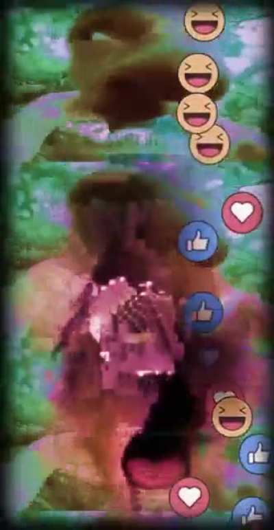 Top 10 311 Jungle drugs live 640p