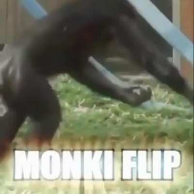 Monki