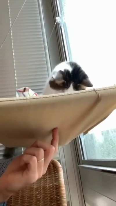 A little silly