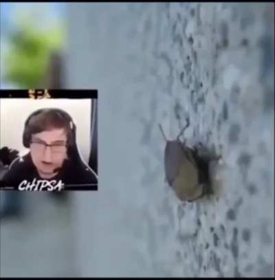 It&rsquo;s a bug!!!