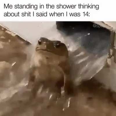 2meirl4meirl