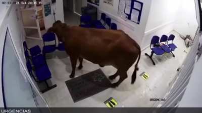 Доктор Бы Чок для осмотра пациентов прибыл