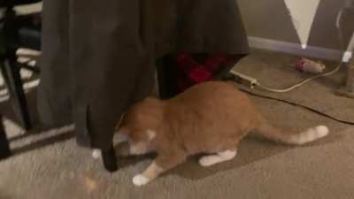 Simba&rsquo;s nocturnal seance.