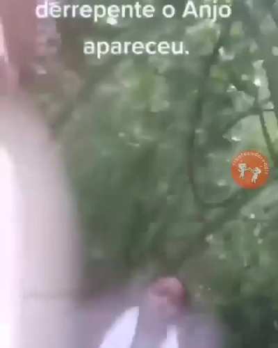 O anjo