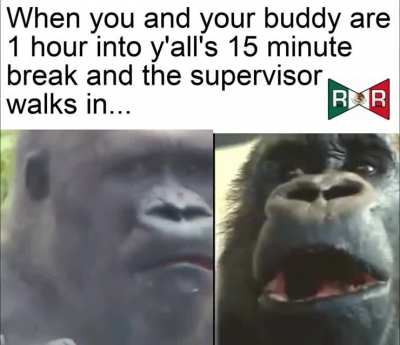 Uhhh...we can explain