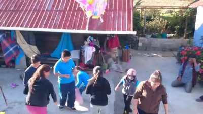 También los perros festejan el dia de reyes