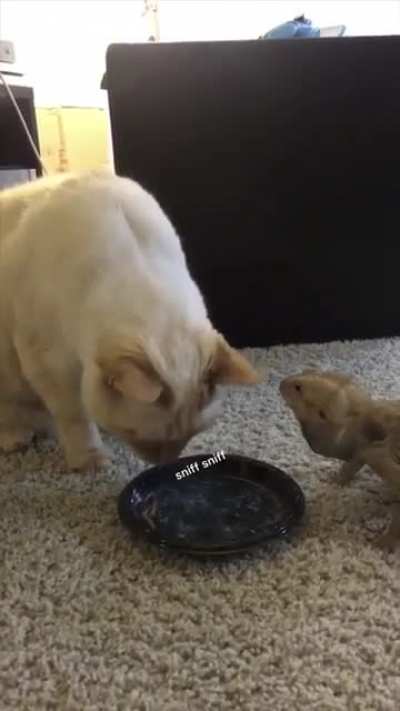 Eat that one.
