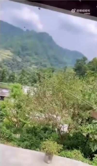 Beekeeper vs hornets