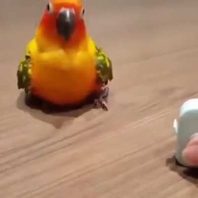 Maybe Maybe Maybe