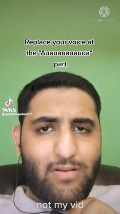 Tiktok: @bigbagofpotatoes