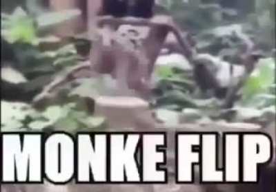 r/Monke'de g&ouml;rd&uuml;m ve bunun buraya ait olduğunu d&uuml;ş&uuml;n&uuml;yorum