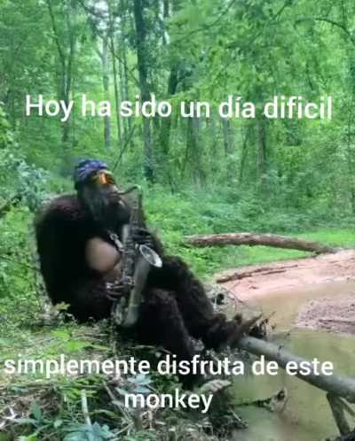 Macumba👍