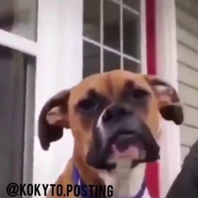 Waaaaa
