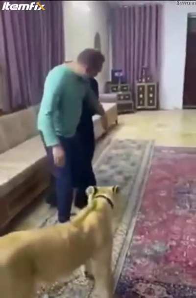 Thank God, the animal was in a good mood