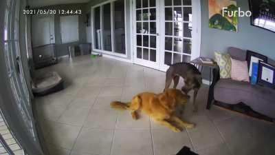 Hey Bro, it's just a bad dream