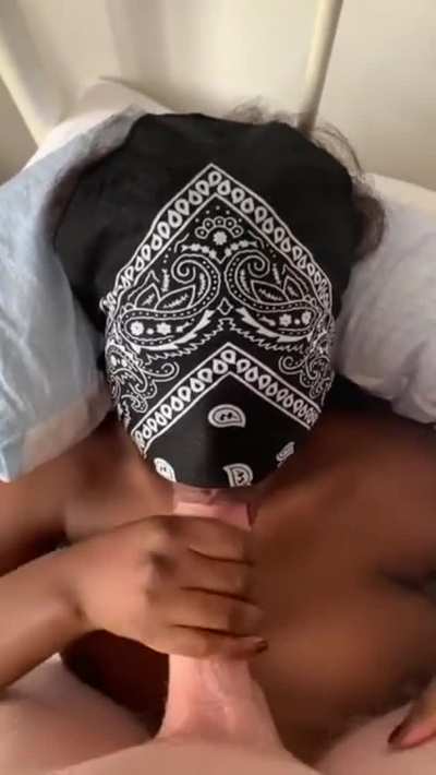 Sucking 8 inch white cock
