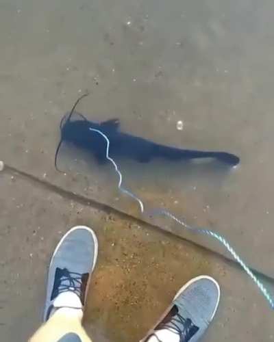 &amp;lt;3