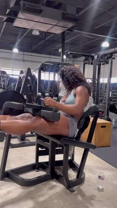 Seated Leg Curl (May 24, 2024)