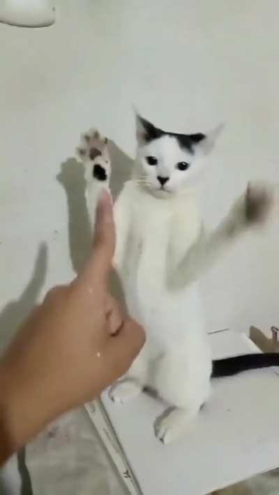 Za Hando!