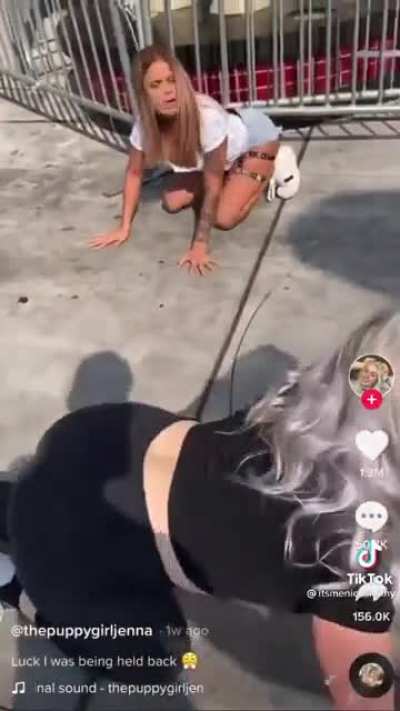 Dog Life Pro