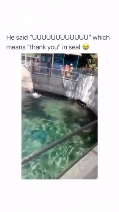 I think this belongs here