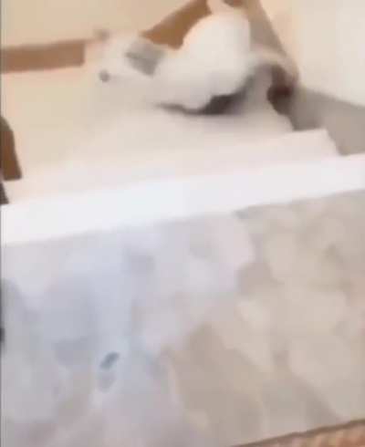 Nooooo michi