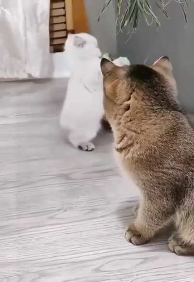 I&rsquo;m gonna sneak up on you, no no I&rsquo;m good