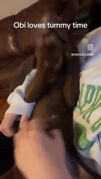 Obi is full of milk! (and farts)