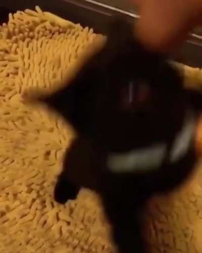 Я зло, я ярость!