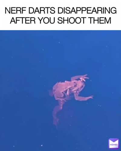 Where do they go?