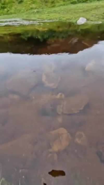 A newly formed natural spring