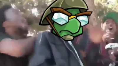 Yo Momma