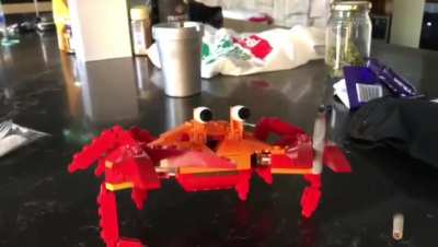 Mr Crabs