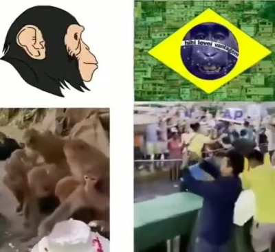 Como vcs escrevem "macaco"?