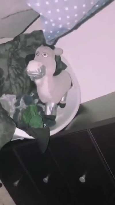 "He's looking at me"