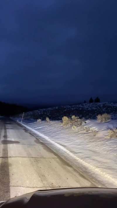 Yellowstone nights.
