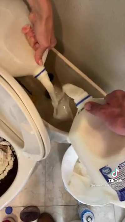 Just a toilet milkshake