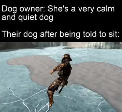 Good dog