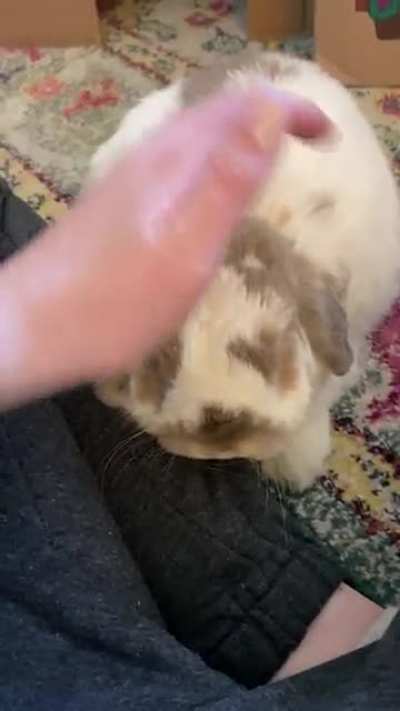 Cheek squishies!