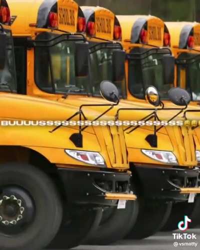 bus 🚌🚌🚌